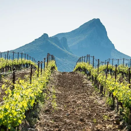 - Gaya Centre * Montpellier