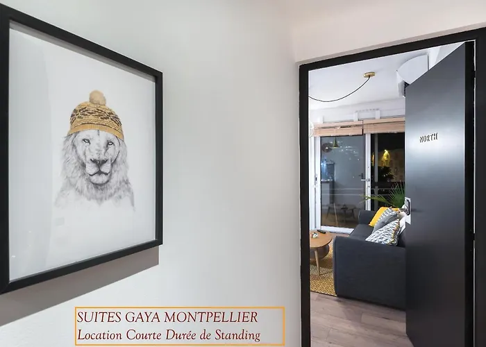 - Gaya Centre Apartamento